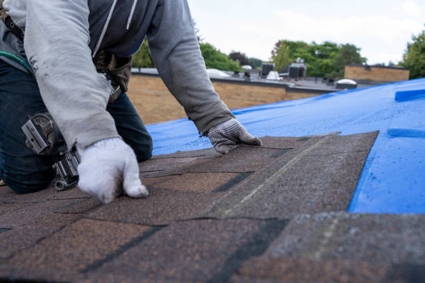 Best Residential Roof Replacement  in Rion Center, MA
